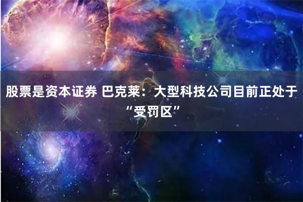 股票是资本证券 巴克莱：大型科技公司目前正处于“受罚区”