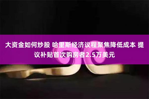 大资金如何炒股 哈里斯经济议程聚焦降低成本 提议补贴首次购房者2.5万美元