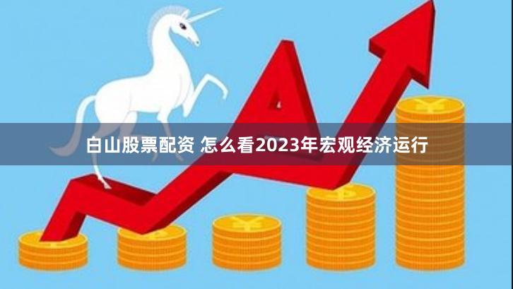 白山股票配资 怎么看2023年宏观经济运行