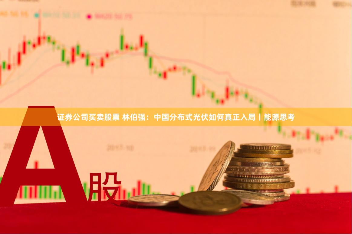 证券公司买卖股票 林伯强：中国分布式光伏如何真正入局丨能源思考