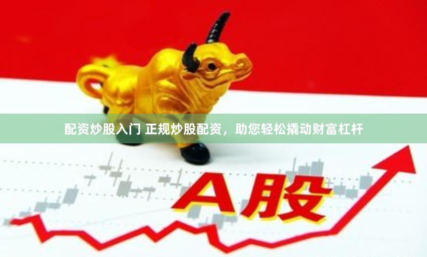 配资炒股入门 正规炒股配资，助您轻松撬动财富杠杆